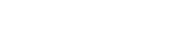 VF9